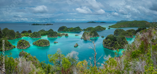 Painemo Island  Blue Lagoon  Raja Ampat  West Papua  Indonesia