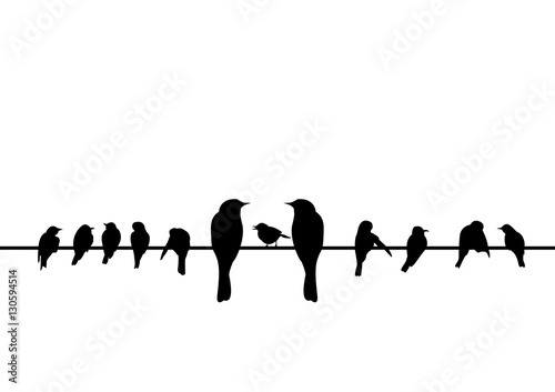 silhouettes of the birds sitting on electric wire © TA design