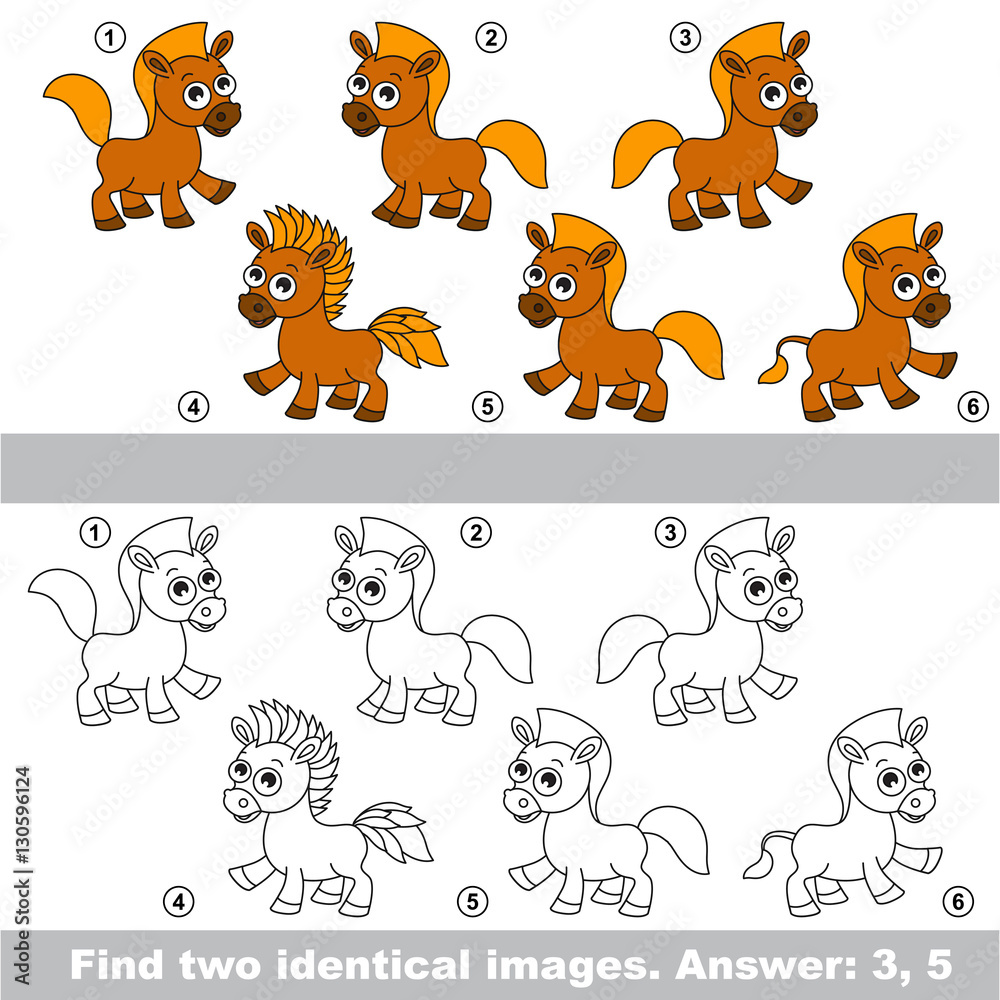 Obraz premium Visual game. Find hidden couple of Horses.