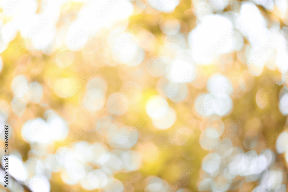 Abstract nature bokeh blurred background. Abstract nature bokeh blurred background.