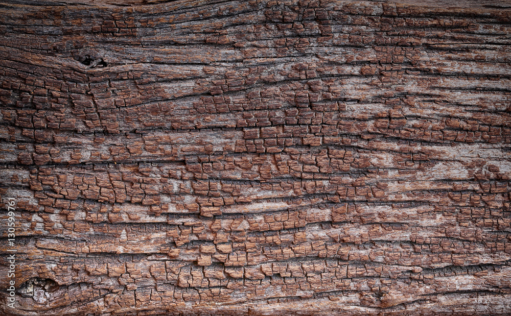 Old wood texture. Old wood texture.