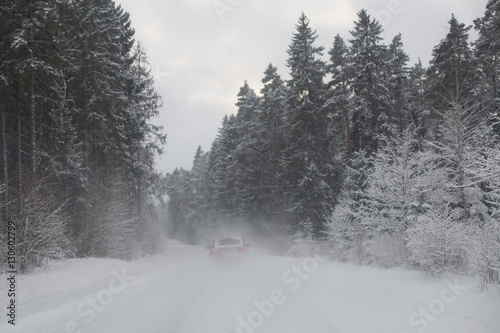 Red car driving on a snowy road in the woods in a snow storm  photo