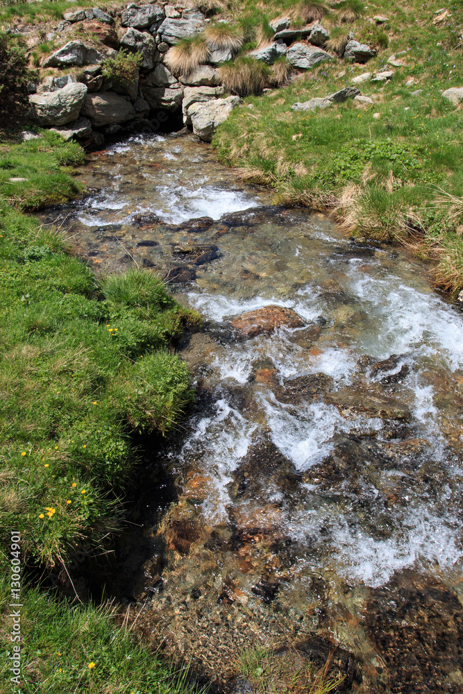 Fototapeta premium torrente a Palasinaz, Brusson - valle Ayas