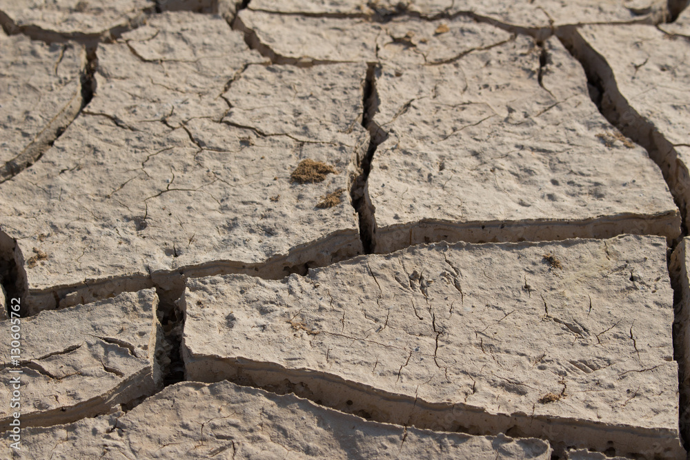 arid land. StockFoto Adobe Stock