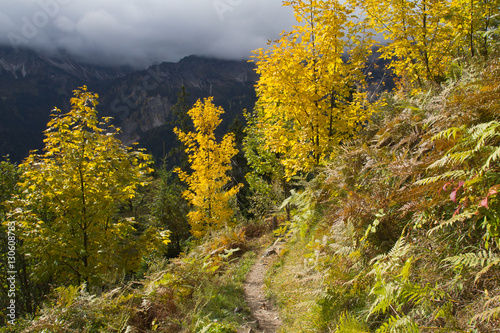 Allgäu, Hintersteiner Tal