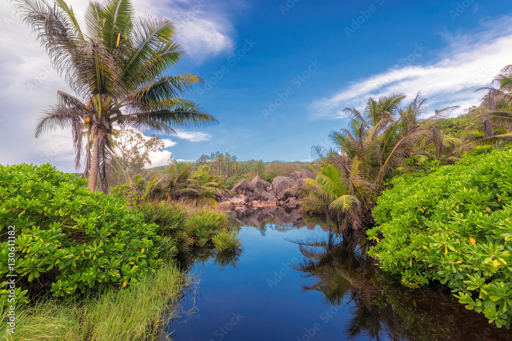 Rocks and palms at tropical lake in jungle, La Digue island in Seychelles Rocks and palms at tropical lake in jungle, La Digue island in Seychelles