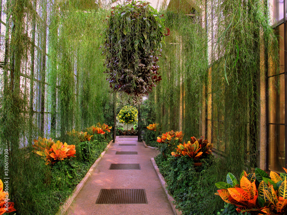 Fototapeta premium beautiful garden with hanging plants and colorful small plants in several different colors and shapes