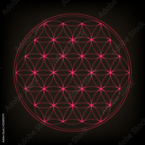 Flower of life. Sacred geometry, vector. Pink neon vector illustration. © velikiyzayats