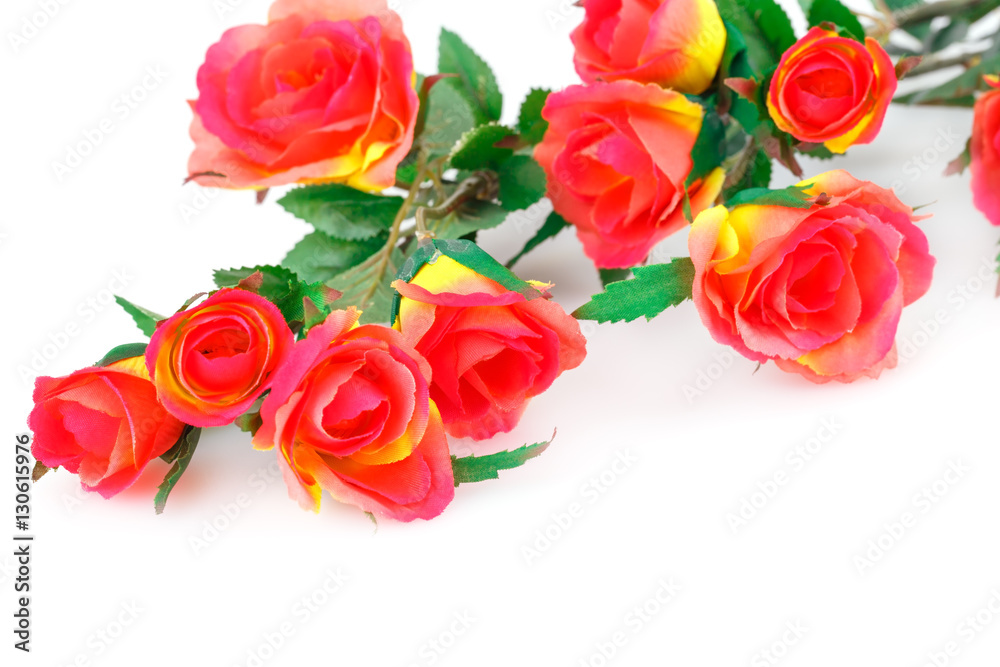 Fototapeta premium Red roses
