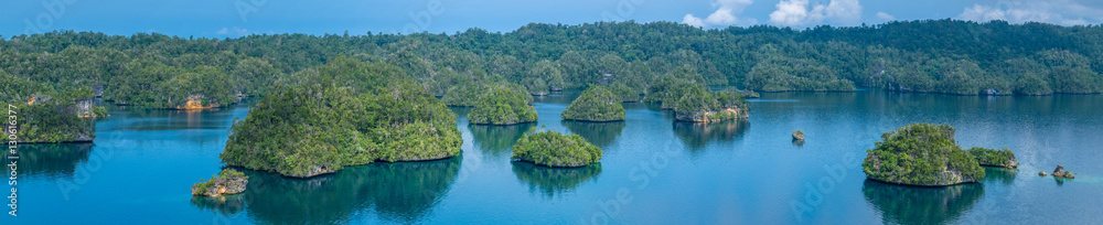 Many Rocks covered by Palmtrees in Passage between Gam and Waigeo, View Point near Warikaf Homestay. West Papuan, Raja Ampat, Indonesia