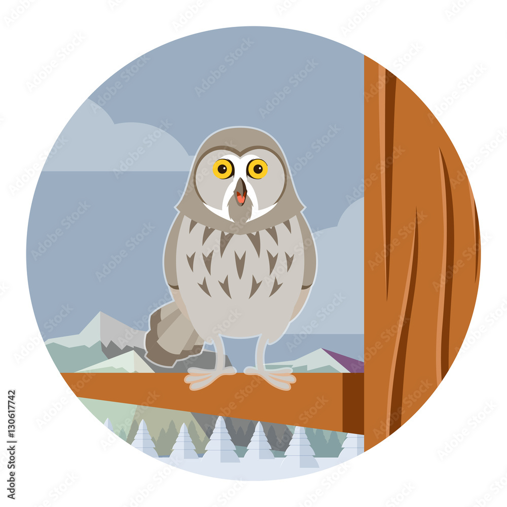 Obraz premium Grey Owl on the winter tree flat background