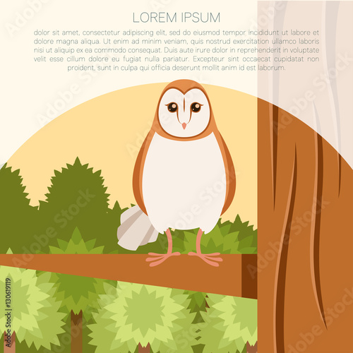 Screech-Owl on the flat tree background