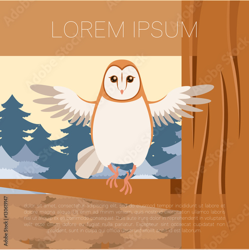 Screech-Owl on the flat tree background