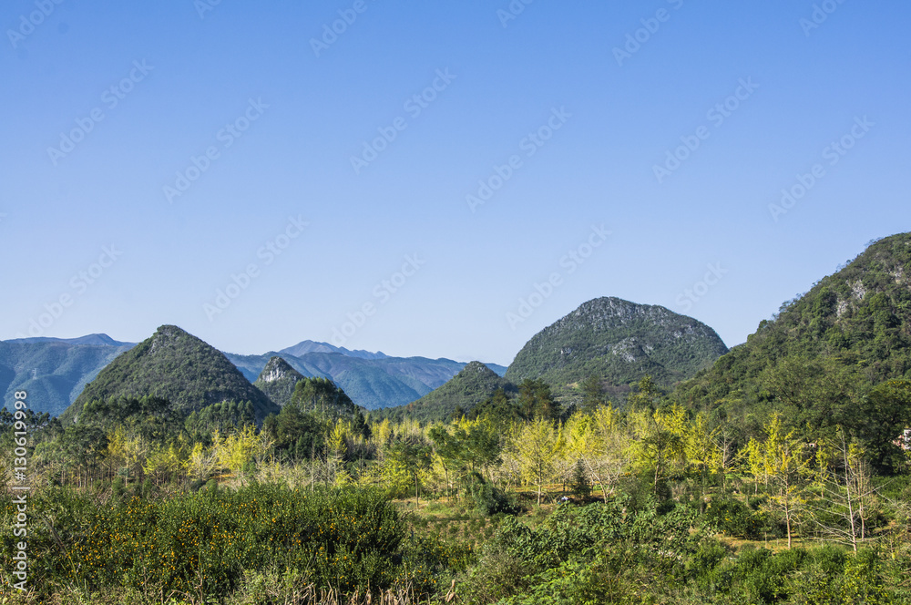 The countryside scenery with blue sky in autumn

