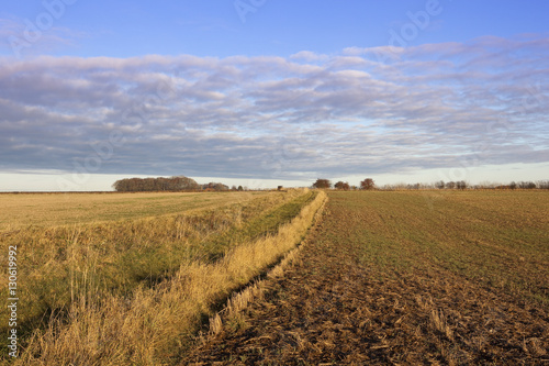 yorkshire wolds footpath