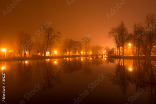 Mystical landscape with trees near the pond in misty autumn even