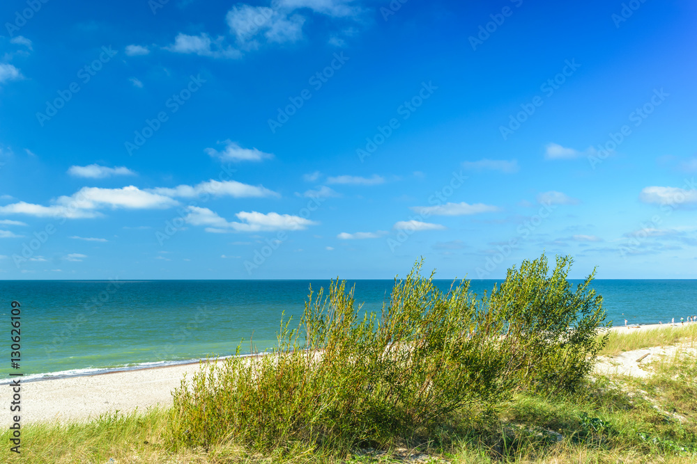 The sandy beach on the coast of the Baltic Sea