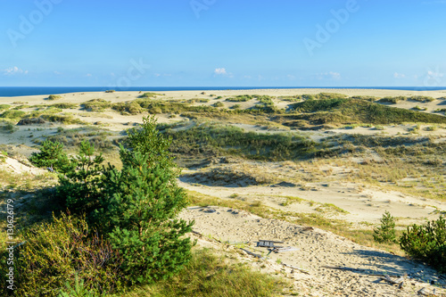 RUSSIA  VILLAGE of  MARINE - August  2016  the Curonian spit. Dune EFA