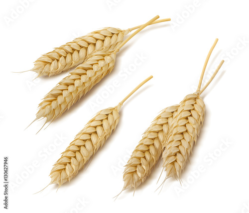 Wheat ears set 3 isolated on white background