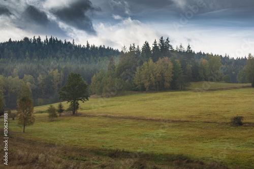  autumn forest