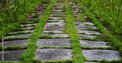Foto Walkway.