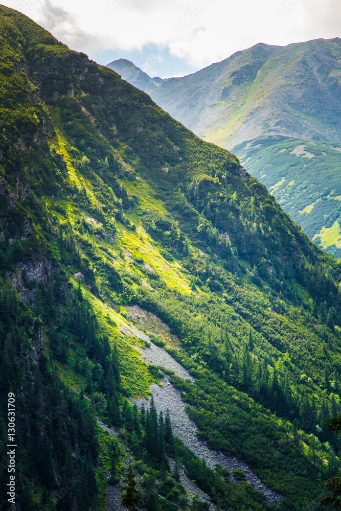 A beautiful mountain landscape with trees