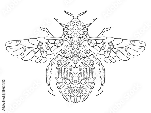 Bumblebee coloring book for adults vector