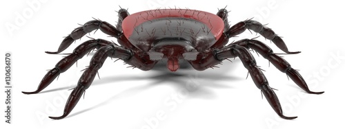 Εκτύπωση καμβά realistic 3d render of tick