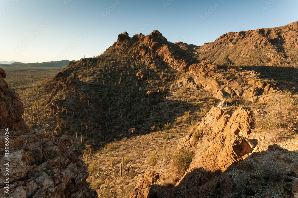 Fototapeta premium Sunset at Tucson Mountain Park, AZ