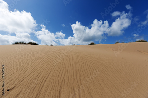 Awesome Sand Dune View at Sylt   Germany