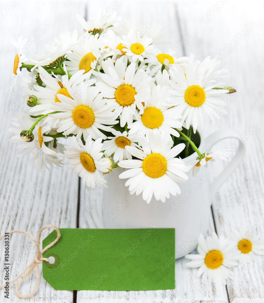 Obraz premium daisies in vase