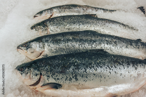 fresh raw frozen trout fish on ice in supermarket