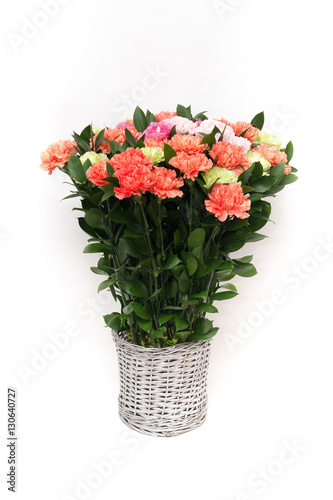 Fototapeta Naklejka Na Ścianę i Meble -  Carnations flower on white background