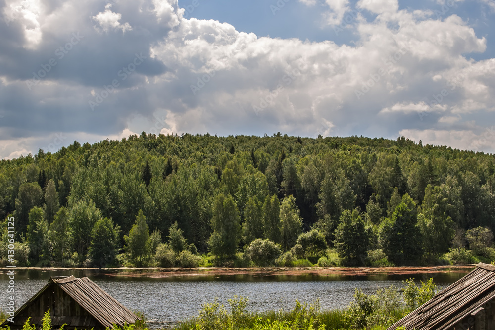 Forest on the banks of the pond and beautiful clouds Forest on the banks of the pond and beautiful clouds