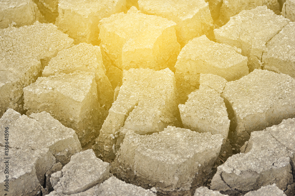 Cracked mud texture background Cracked mud texture background