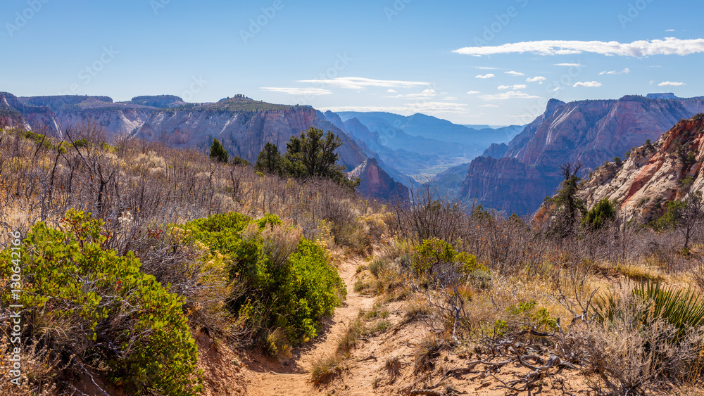 The narrow path among the dry grass toward the canyon. Scenic view of the canyon. Zion National Park, Utah, USA