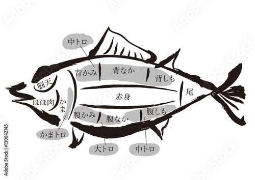 まぐろ　部位の名称