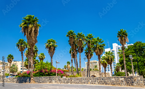 Garden and city walls in Tiberias - Israel