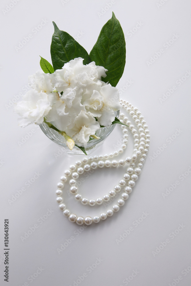 jasmine flower jasmine flower