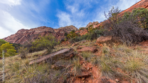 Beautiful sunny day during hike. EMERALD POOLS TRAIL, Zion National Park, Utah, USA