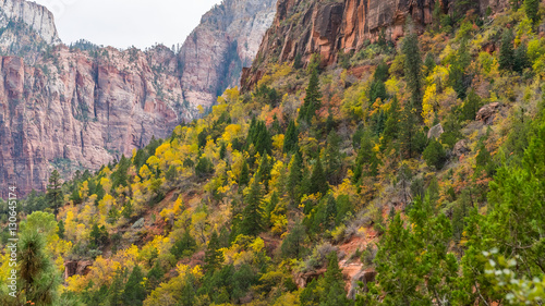 Amazing mountain landscape. EMERALD POOLS TRAIL  Zion National Park  Utah  USA