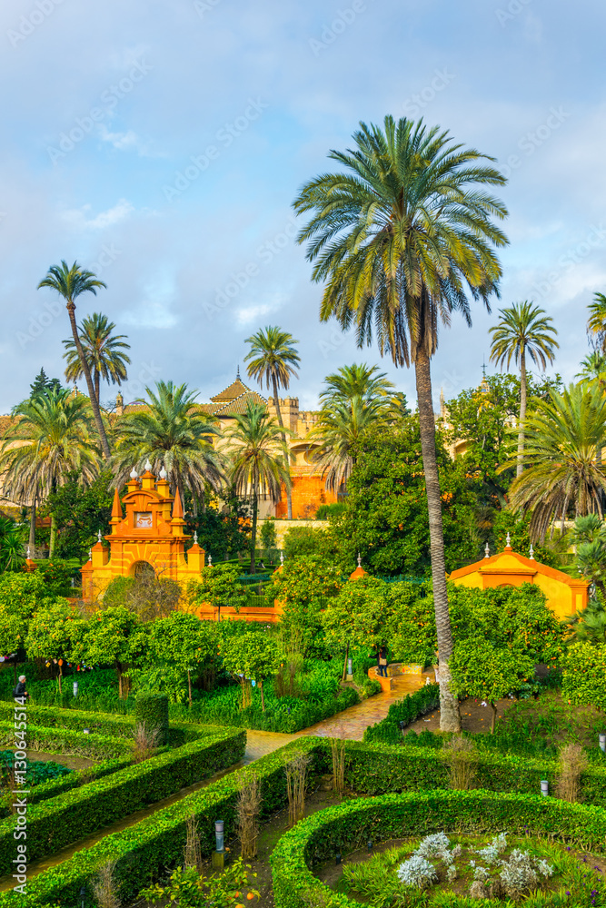 Fototapeta premium view of a garden of the real alcazar palace in the spanish city sevilla