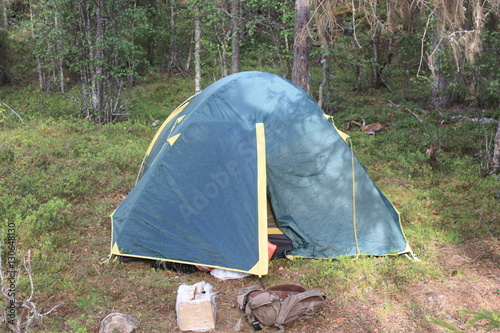Палатка туриста в лесу.