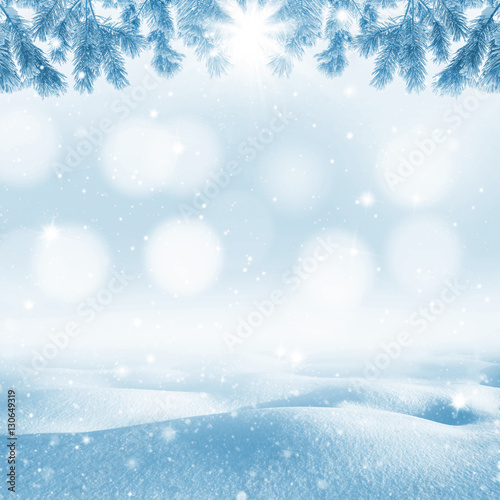 Winter bright background. Christmas landscape with snowdrifts and pine branches in the frost. © Leonid Ikan