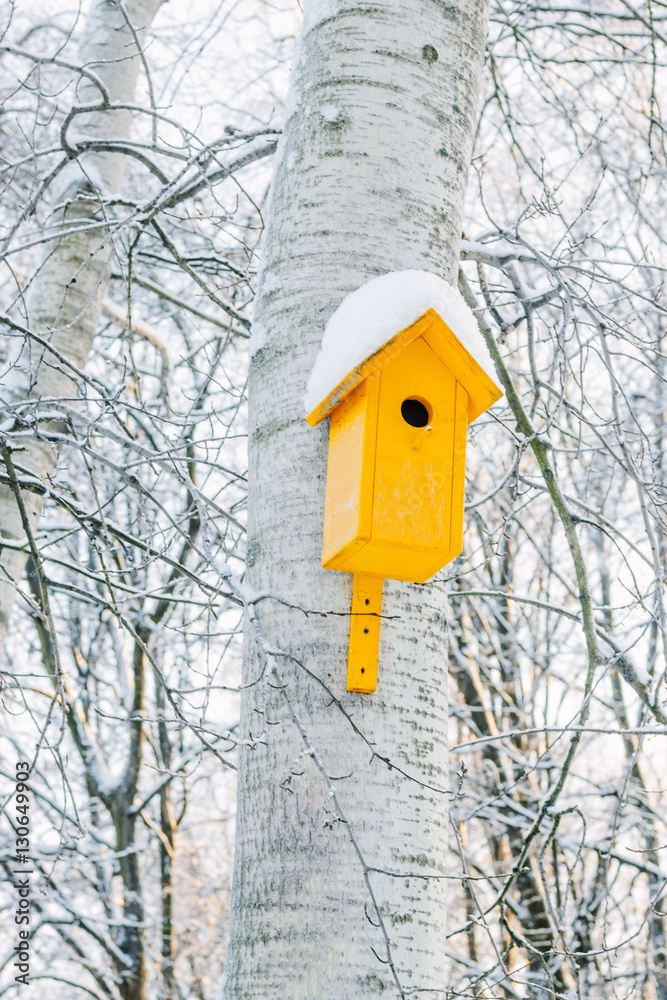 Nesting box on tree covered by snow on cold winter park.