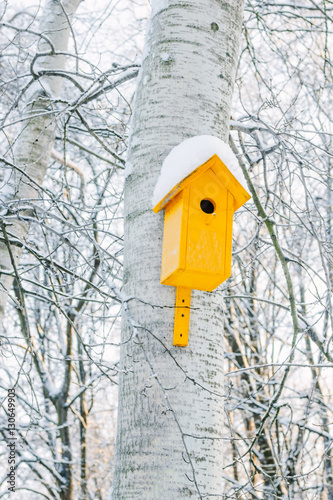 Nesting box on tree covered...