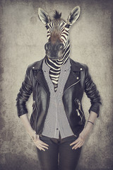 Fototapete Hipster Tiere Zebra im Anzug Vintage Porträt  © cranach