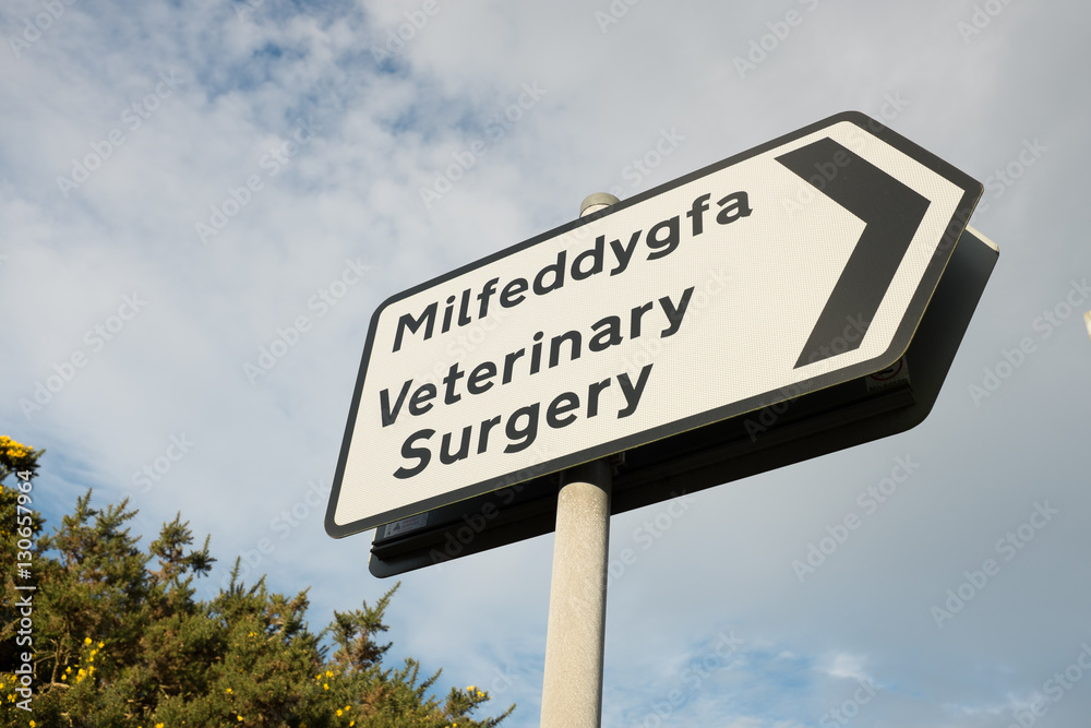 Bilingual veterinary surgery sign.