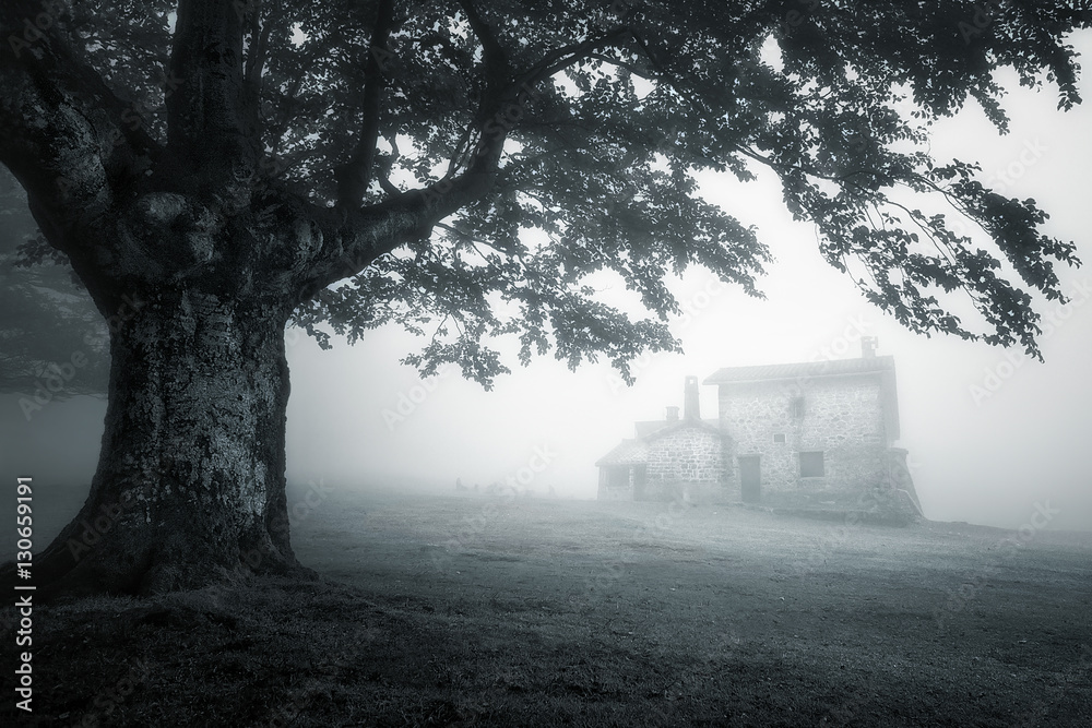 Fototapeta premium mysterious house in foggy forest