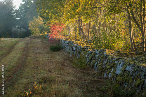 Fotografie Farmland Landscape with stonewall